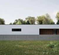 Ein Einfamilienhaus in Nesvady mit minimalistischem Design, umgeben von Natur und Holzelementen.