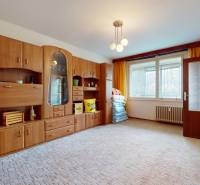 Wohnzimmer in einer Zweizimmerwohnung mit viel hölzernem Stauraum und einem großen Fenster.