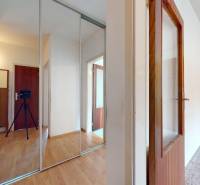 Flur in einer 2-Zimmer-Wohnung mit Holzboden und einem Spiegelschrank.