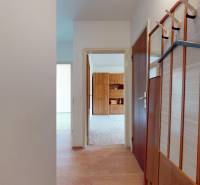 Eingangsflur in einer 2-Zimmer-Wohnung mit Wandgarderobe und Boden in Holzoptik.