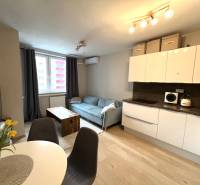 Küche und Wohnzimmer in einer 2-Zimmer-Wohnung mit Holzboden.