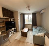 Wohnzimmer mit Holzboden, Sofa und Fernseher in einer 2-Zimmer-Wohnung.