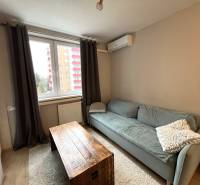 Wohnzimmer in einer 2-Zimmer-Wohnung mit Holzboden und Sofa.