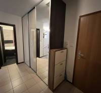 Eingangshalle in einer 2-Zimmer-Wohnung mit Fliesen, großem Spiegel und Schränken.