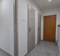 Eingangsbereich mit Holztüren und Möbeln in einer Zweizimmerwohnung, heller Boden.