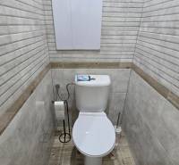 Badezimmer aus einer 2-Zimmer-Wohnung mit Toilette und Boden in Holzoptik.