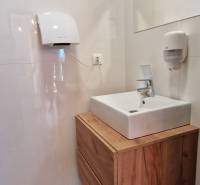 Badezimmer mit Waschbecken und Schrank mit Holzdekor in Gastronomiebereichen.