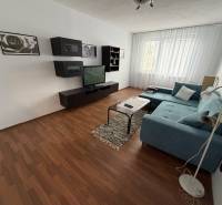 Wohnzimmer mit Holzboden und Sofa in einer 3-Zimmer-Wohnung.
