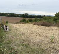 Die Gärten in Zvončín bieten einen Blick auf die Wiesen und Felder in der Gegend von Zvončín.