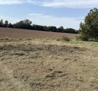 Ein Feld und Gras in den Gärten in Zvončín, bei Zvončín, mit klarem Himmel und Bäumen.
