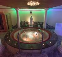 Entspannungsraum mit Whirlpool, Sauna und Skulptur in der Ferienwohnung.