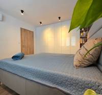 Schlafzimmer in einer 2-Zimmer-Wohnung mit Bett, Schrank, Pflanze und Boden mit Holzdekor.