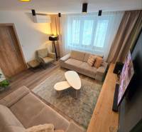 Wohnzimmer in einer 2-Zimmer-Wohnung mit einem bequemen Sofa, Couchtischen und einem Holzboden.