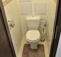 Badezimmer in einer 2-Zimmer-Wohnung mit Toilette, Fliesen und Boden in Holzoptik.