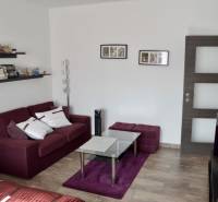 Wohnzimmer mit bordeauxrotem Sofa, Glastisch und Holzboden.