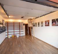 Garage in einem Einfamilienhaus mit Regalen, einem Boden in Holzoptik und einer ausziehbaren Leiter.