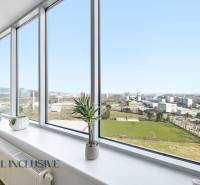 Blick aus einer 2-Zimmer-Wohnung mit großen Fenstern, Zimmerpflanzen, Boden mit Holzdekor.