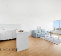 Gemütliche Küche mit weißen Schränken, einem Sofa und einer großen verglasten Wand in einer 2-Zimmer-Wohnung.