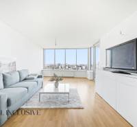 Wohnzimmer in einer Zweizimmerwohnung mit Sofa, Fernseher und Holzboden.