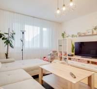 Wohnzimmer in einer 3-Zimmer-Wohnung mit Sofa, Fernseher und Holzboden.