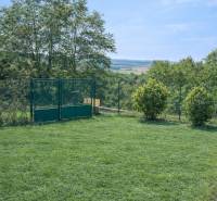 Grüner Rasen mit Hecke und Tor bei einem Einfamilienhaus in Veľké Ripňany.