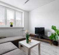 Wohnzimmer in einer 2-Zimmer-Wohnung, Sofa, Fernseher, Pflanzen, weiße Wand, Boden mit Holzdekor.