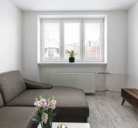 Wohnzimmer in einer Zweizimmerwohnung mit Sofa, Couchtisch und Holzboden.