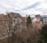 Blick auf Wohngebäude und Bäume in Bratislava - Ružinov, ideal für eine 2-Zimmer-Wohnung.