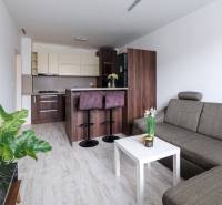 Wohnzimmer mit Küche, Sofa, Bartresen und Holzboden in einer Zweizimmerwohnung.