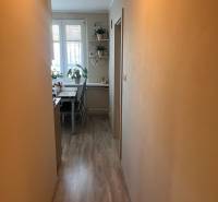 Ein enger Flur in einer 3-Zimmer-Wohnung führt zu einem hellen Esszimmer mit Pflanzen und Dekorationen.