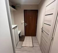 Diele mit Holzboden, Garderobenhaken und Türen in einer 3-Zimmer-Wohnung.