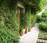 Der Garten einer 3-Zimmer-Wohnung in der Šancová-Straße in Pezinok mit üppigem Grün und einem Gehweg.