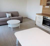 Stilvolles Studio mit Kochnische, Sofa und Tisch in der Bodona-Straße.