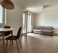 Einzimmerwohnung in der Bodona-Straße mit Holzmöbeln, Sofa, Tisch, Balkon und Küchenzeile.