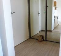 Der Flur mit weißen Türen und einem Spiegelschrank, der Laminatboden führt in die Küche.