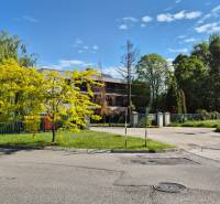 Bäume und Sträucher an einem eingezäunten Grundstück, in der Nähe einer Kreuzung in der Bodona-Straße.
