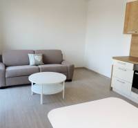 Einzimmerwohnung in der Bodon-Straße mit Sofa, Küchenzeile und Couchtisch.