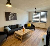 Wohnzimmer mit Holzboden, Sofa, Couchtisch, Löwenbild.