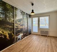 Ein Zimmer in einer 3-Zimmer-Wohnung mit einer großflächigen Tapete eines Waldes und einem Boden mit Holzdekor.