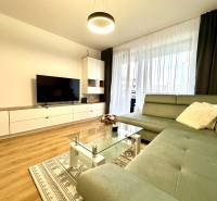 Wohnzimmer in einer Zweizimmerwohnung mit Sofa, Fernseher und Holzboden.