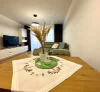 Wohnzimmer in einer 2-Zimmer-Wohnung; Sofa, Fernseher, Tisch mit Dekoration, Boden mit Holzdekor.