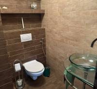 Badezimmer in einem Einfamilienhaus mit einem Boden in Holzoptik und moderner Toilettenausstattung.