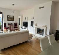 Innenraum eines Einfamilienhauses mit Kamin, Sofa und Holzdekorboden.