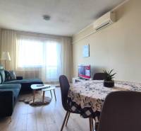 Wohnzimmer in einer 2-Zimmer-Wohnung mit Sofa, Esstisch und Boden in Holzoptik.