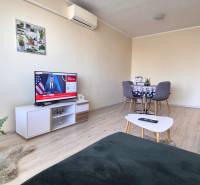 Wohnzimmer in einer Zweizimmerwohnung, Holzboden, Fernseher, Esstisch.