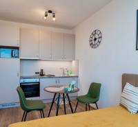 Küche in einer Einzimmerwohnung mit Holzboden, Esstisch und Sofa.