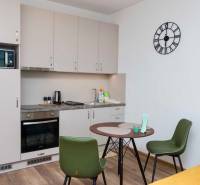 Küche in einer Einzimmerwohnung mit Holzboden und Esstisch.