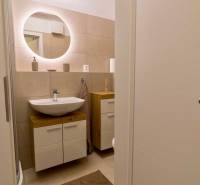 Badezimmer mit Waschbecken und Spiegel, Teil einer Einzimmerwohnung.