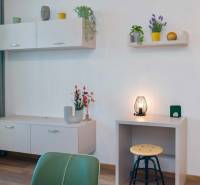 Minimalistisches Interieur mit Holzboden und Möbeln in einer Einzimmerwohnung.