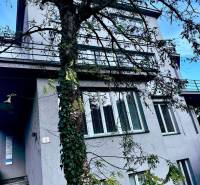 Das Gebäude in der M.R.Štefánik-Straße in Trenčín, umgeben von Bäumen, bietet Büroflächen an.